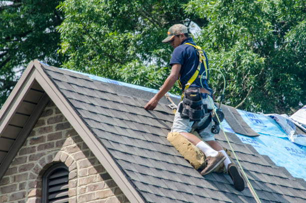 Best Roof Leak Repair  in Baxter, MN